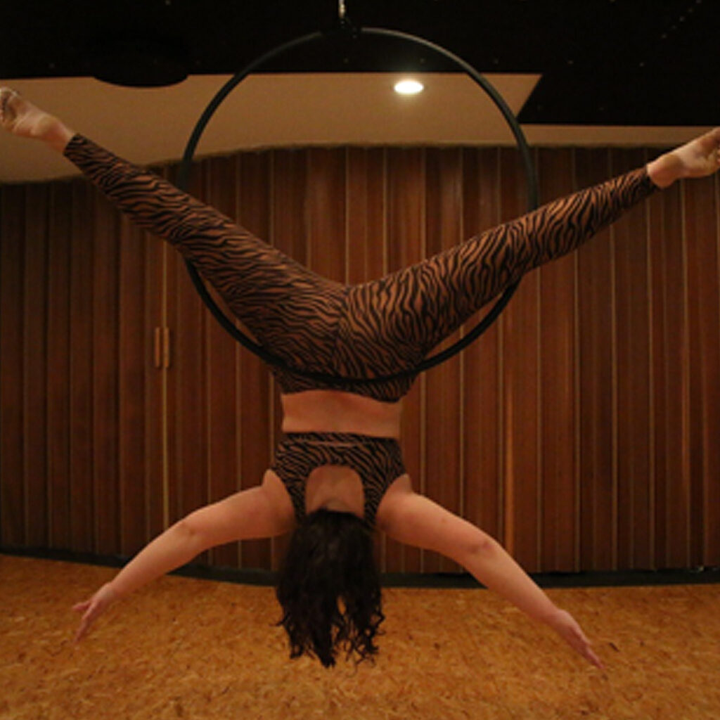 aerialhoop